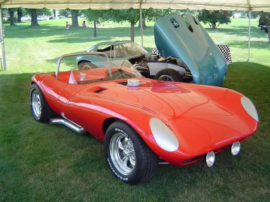  Cheetah Roadster 2008 года  (фото 4 из 4)